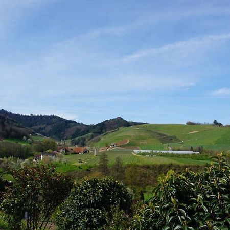 Ferienwohnung Anna Durbach Bagian luar foto