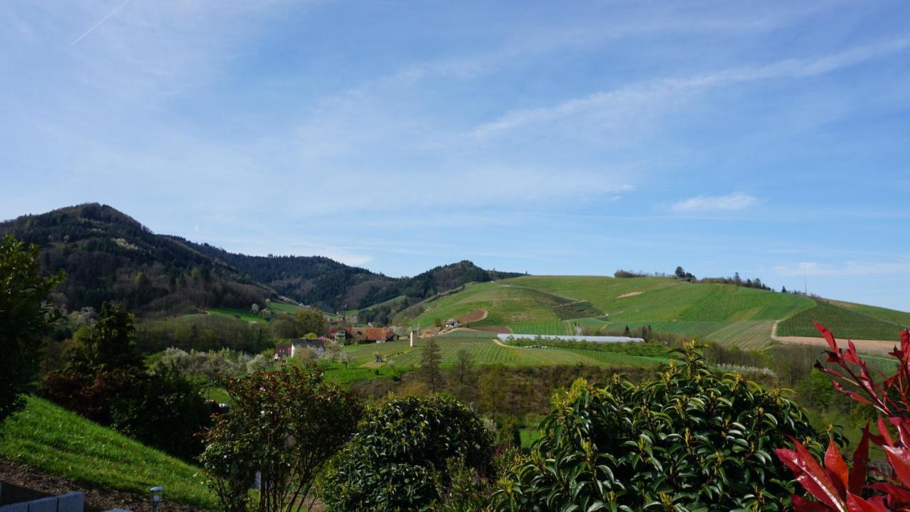 Ferienwohnung Anna Durbach Bagian luar foto